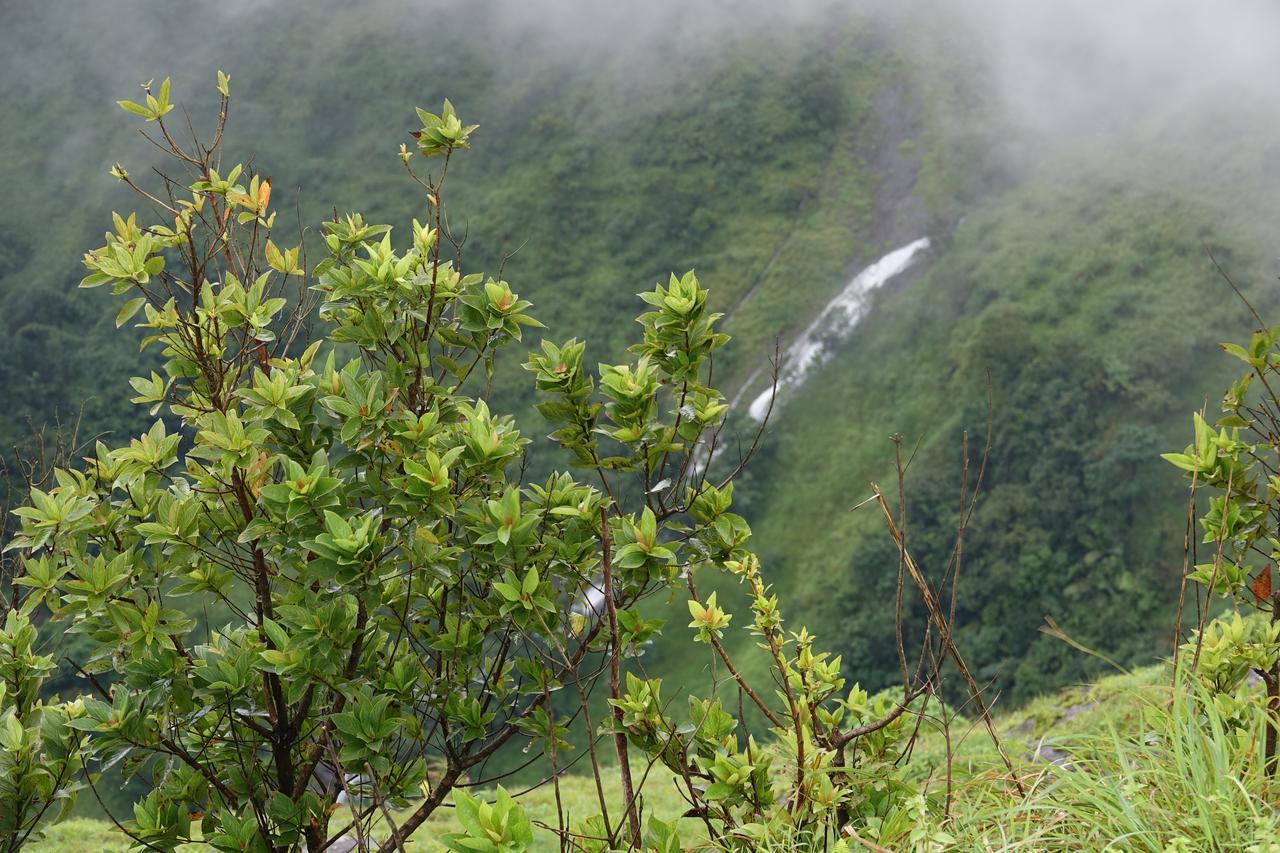 Hotel Orion County Vagamon Exterior foto